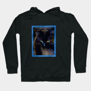 Beautiful black Cat Hoodie